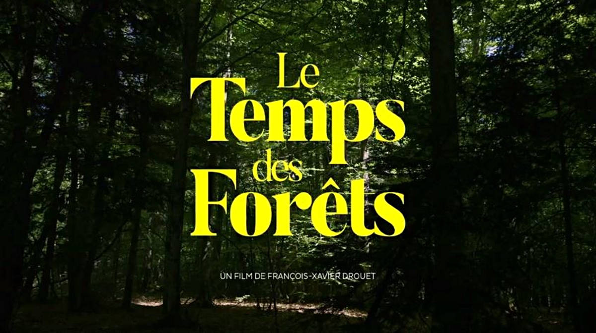 Cinéma : Le temps des forêts